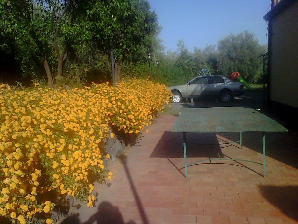 Biologico Dell'Etna Villa Trecastagni Buitenkant foto